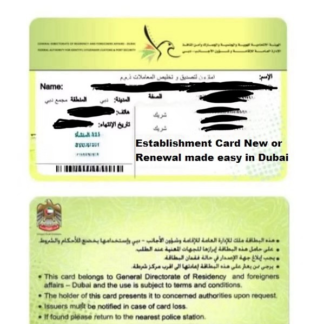 Company Establishment Card Application
