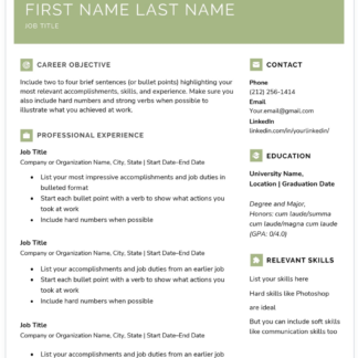 Professional CV Writing
