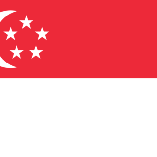 Singapore Visit Visa